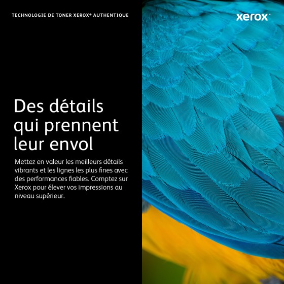 Xerox Cartouche de toner Noir de Capacité standard Phaser® 3052​/​3260, WorkCentre® 3215​/​3225 (1500 pages) - 106R02775