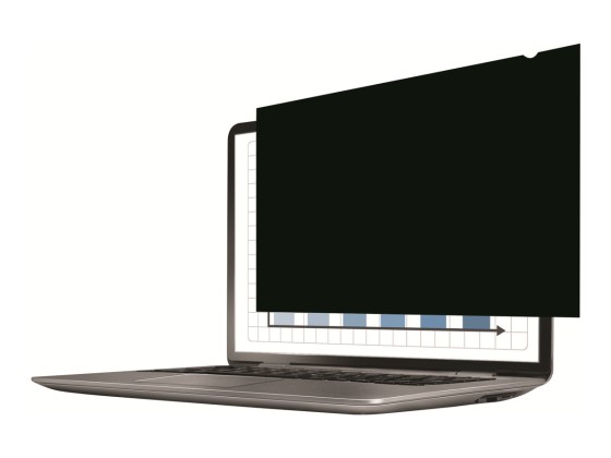 Fellowes PrivaScreen 61 cm (24") Moniteur Filtre de confidentialité sans bords pour ordinateur