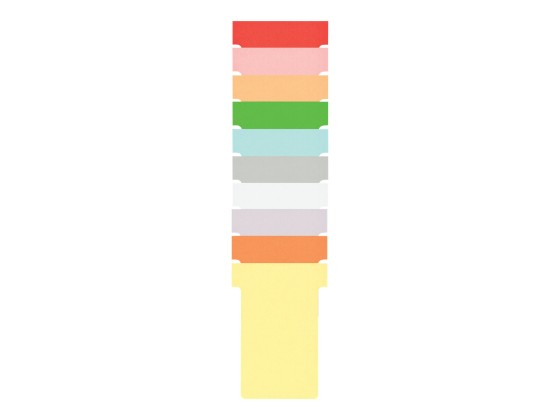 1 Kit planning annuel 13 colonnes 54 fentes - Blanc