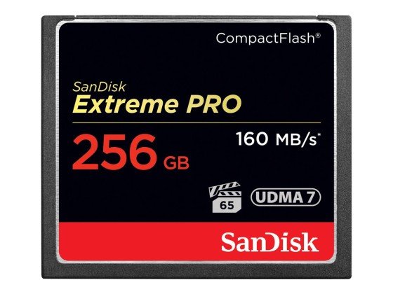 SanDisk Extreme Pro - Carte mémoire flash - 256 Go - CompactFlash