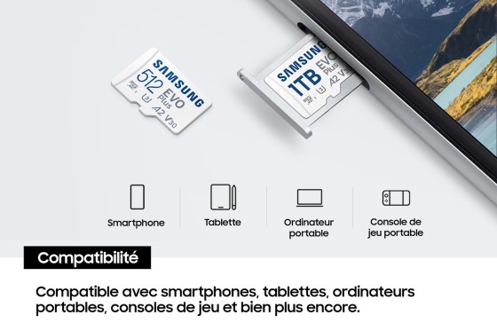 Samsung Carte MicroSD EVO Plus (2024) 512 Go