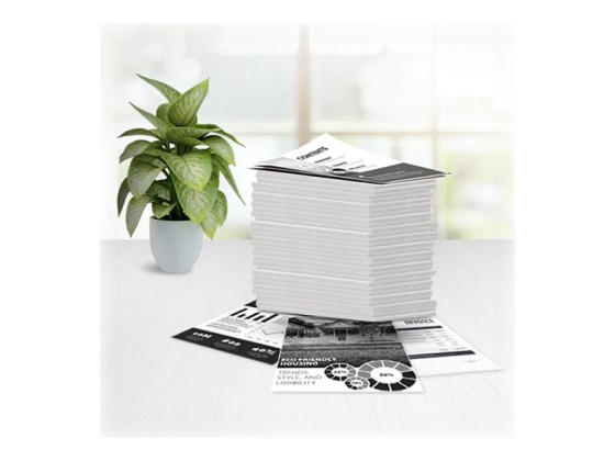 HP 55A toner LaserJet noir authentique