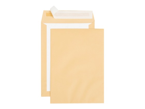 1 Carton de 100 Pochettes de protection kraft brun doscarton rigide 229x324 mm 120g