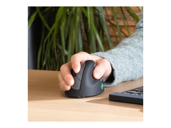R-Go Tools Souris Ergonomique R-Go HE Break avec logiciel de pause, droiter, grand (longueur de la main > 185 mm), bluetooth, noir