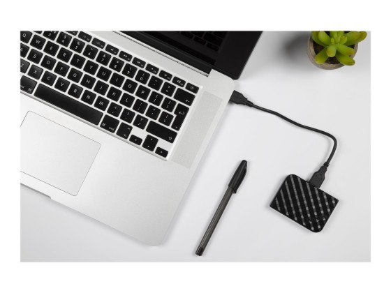 Verbatim Mini SSD Store 'n' Go USB 3.2 Gen.1 - Capacité 1 To - Noir