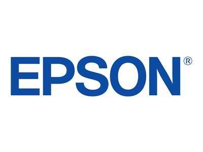 EPSON 5LB T6421 ink cartridge photo black standard capacity 150ml 1-pack