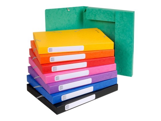 1 Carton de 25 Boîtes de classement EXACOMPTA Cartobox - Dos 2.5cm - assortis