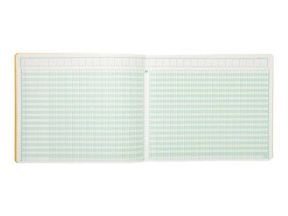 1 Piqûre comptable à tête paresseuse 31 lignes - 30 colonnes sur 2 pages