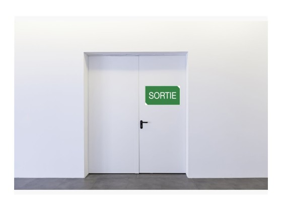 1 Panneau adhésif Sortie 35 cm - vert
