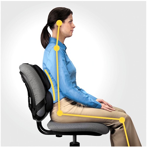 FELLOWES Support dorsal Premium Professional Series™ Antibactérien