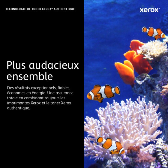 Xerox Cartouche de toner Noir de Capacité standard Phaser® 3052​/​3260, WorkCentre® 3215​/​3225 (1500 pages) - 106R02775