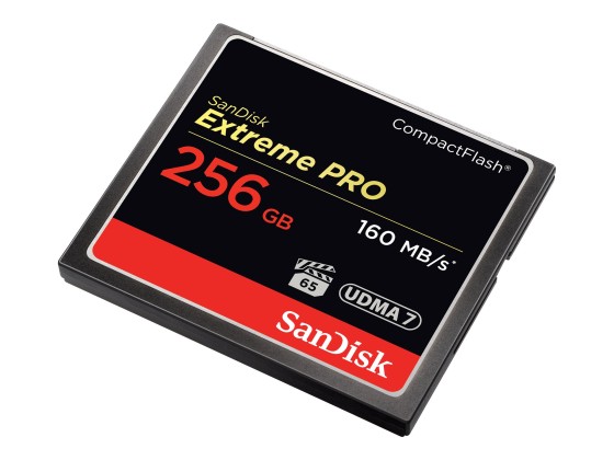 SanDisk Extreme Pro - Carte mémoire flash - 256 Go - CompactFlash