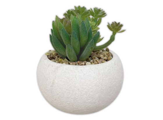 1 Lot de 3 plantes succulentes artificielles