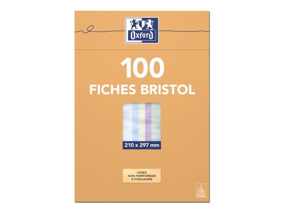 1 Etui de 100 Fiches bristol couleurs assorties 5x5 21x29,7 cm, 210g
