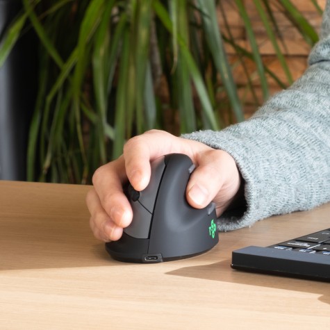R-Go Tools Souris Ergonomique R-Go HE Break avec logiciel de pause, droiter, grand (longueur de la main > 185 mm), bluetooth, noir