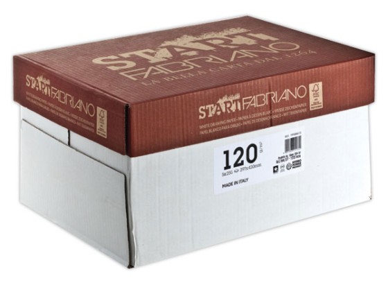 1 Pack de 250 Feuilles de papier dessin blanc format 29,7 x 42 cm - 120 g