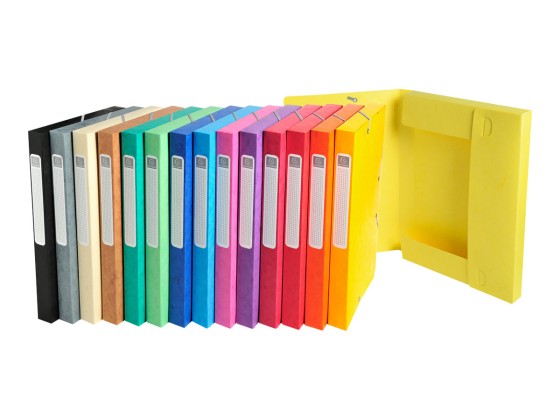 1 Carton de 25 Boîtes de classement EXACOMPTA Cartobox - Dos 2.5cm - assortis