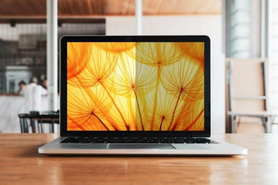 3M Bright Screen Privacy Filter - Filtre de confidentialité pour ordinateur portable (horizontal) - 12.3"