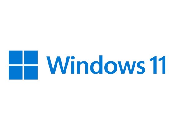 MS ESD Windows HOME 11 64-bit All Languages Online Product Key License 1 License Downloadable ESD NR