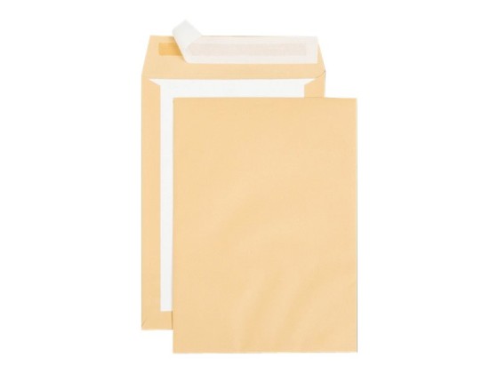1 Carton de 100 Pochettes de protection kraft brun doscarton rigide 229x324 mm 120g