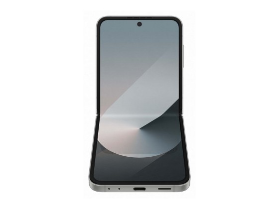 Samsung Galaxy Z Flip6 - Enterprise Edition - 5G smartphone - double SIM - RAM 12 Go / Mémoire interne 256 Go - écran OEL - 6.7" - 2640 x 1080 pixels (120 Hz) - 2x caméras arrière 50 MP, 12 MP - front camera 10 MP - ombre argentée