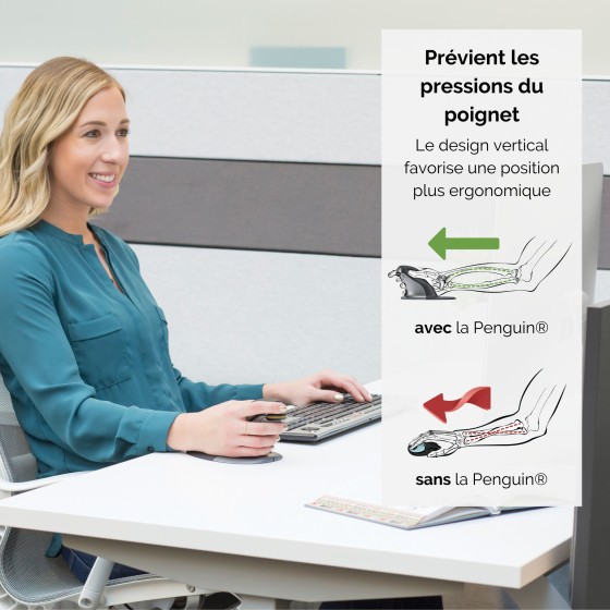 FELLOWES SOURIS VERTICALE AMBIDEXTRE PENGUIN SANS FIL - PETIT