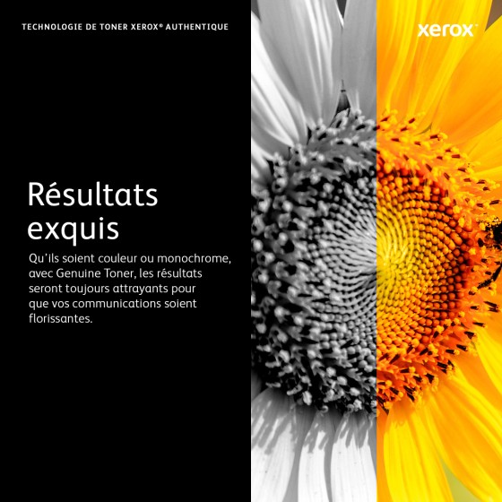 Xerox Cartouche de toner Noir de Capacité standard Phaser® 3052​/​3260, WorkCentre® 3215​/​3225 (1500 pages) - 106R02775