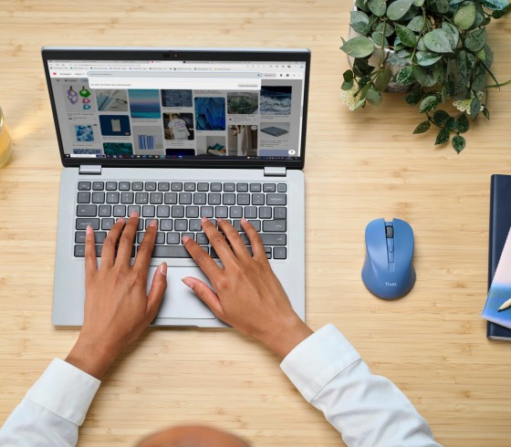 TRUST MYDO Silent Wireless Mouse Blue