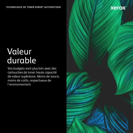 Xerox Cartouche de toner Noir de Capacité standard Phaser® 3052​/​3260, WorkCentre® 3215​/​3225 (1500 pages) - 106R02775