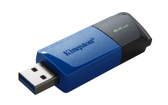 KINGSTON 64Go DataTraveler Exodia M