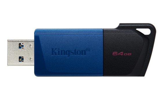 KINGSTON 64Go DataTraveler Exodia M