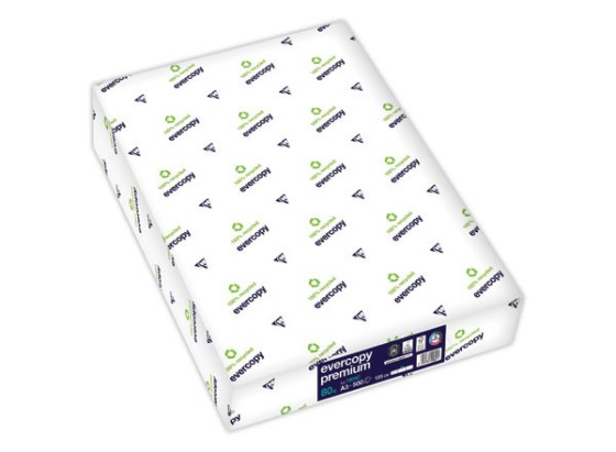 1 Carton de 5 ramettes de 500 feuilles de papier très blanc A3 Everycopy premium 80G