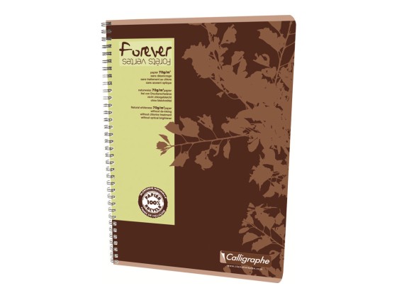 1 Cahier spirale recyclé A4, 70g, 5x5,100 pages