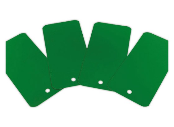 1 Lot de 1000 Etiquettes plastiques avec trou de suspension - 110 x 55mm - Verte