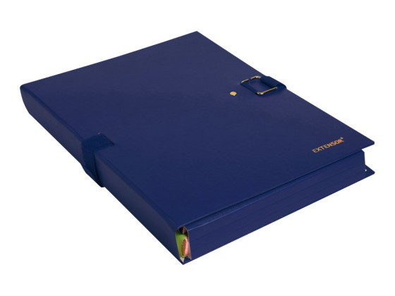 1 Chemise à sangle EXACOMPTA Extensor - bleu- largeur max 16 cm