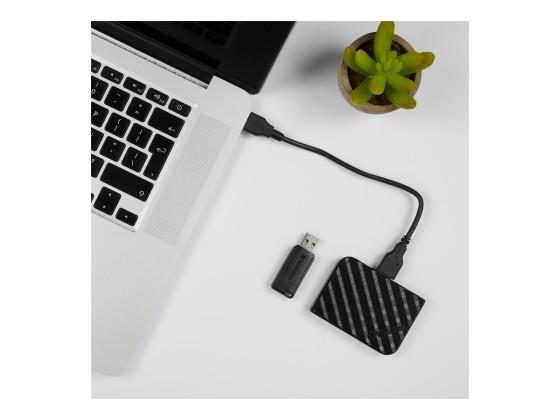Verbatim Mini SSD Store 'n' Go USB 3.2 Gen.1 - Capacité 512 Go - Noir