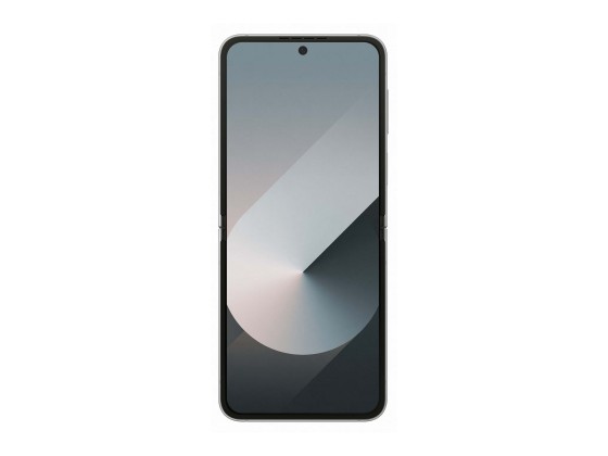 Samsung Galaxy Z Flip6 - Enterprise Edition - 5G smartphone - double SIM - RAM 12 Go / Mémoire interne 256 Go - écran OEL - 6.7" - 2640 x 1080 pixels (120 Hz) - 2x caméras arrière 50 MP, 12 MP - front camera 10 MP - ombre argentée