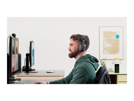 LOGITECH Zone Vibe Wireless Headset full size Bluetooth wireless USB-C via Bluetooth adapter graphite Certified for Microsoft Teams