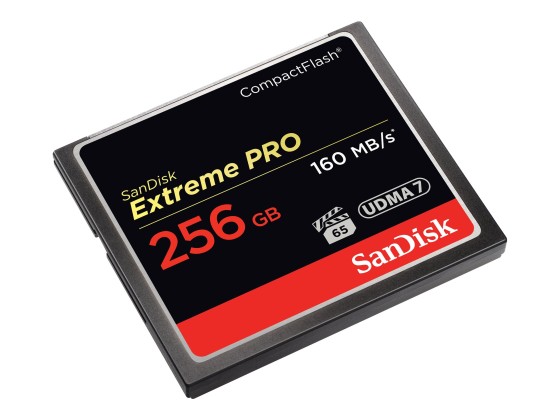 SanDisk Extreme Pro - Carte mémoire flash - 256 Go - CompactFlash