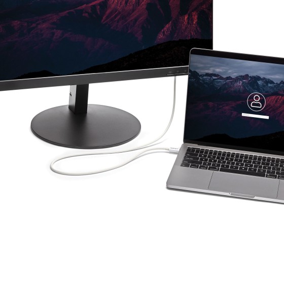 StarTech.com Câble Thunderbolt 3 de 2 m - 20 Gb/s - TB USB-C DP - Blanc - Câble Thunderbolt - 24 pin USB-C (M) pour 24 pin USB-C (M) - USB 3.1 Gen 2 / Thunderbolt 3 / DisplayPort 1.2 - 2 m - support 4K - blanc - pour P/N: CDP2HDUACP, CDP2HDUACPW