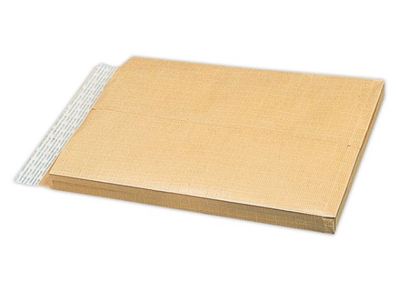 1 Boite de 250 Pochettes kraft brun bande siliconée 162x229 mm à soufflets 30mm 90g