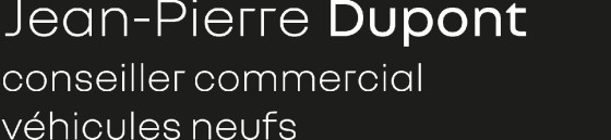 PLAQUE DE PORTE DE FONCTION RENAULT - 180 X 100 MM 