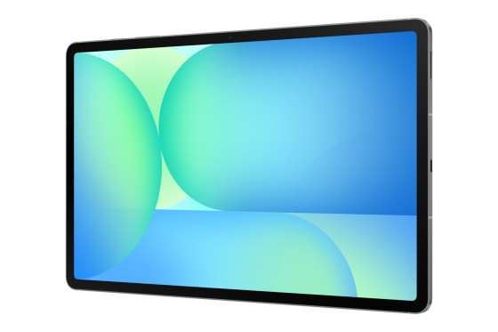 Samsung Galaxy Tab S10 FE+ - Tablette - Android - 256 Go - 13.1" TFT (2800 x 1800) - Logement microSD - 3G, 4G, 5G - gris