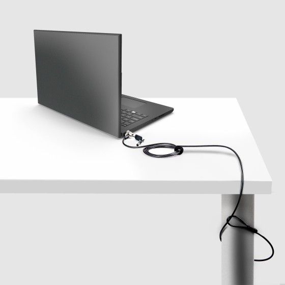 StarTech.com Câble Antivol PC Compatible avec Noble Wedge®, Verrou à Clé - Câble de sécurité - argent, noir - 2 m