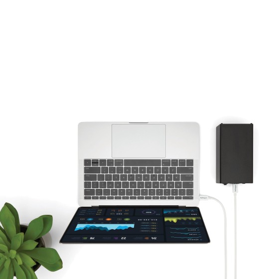 StarTech.com Câble Thunderbolt 3 de 2 m - 20 Gb/s - TB USB-C DP - Blanc - Câble Thunderbolt - 24 pin USB-C (M) pour 24 pin USB-C (M) - USB 3.1 Gen 2 / Thunderbolt 3 / DisplayPort 1.2 - 2 m - support 4K - blanc - pour P/N: CDP2HDUACP, CDP2HDUACPW