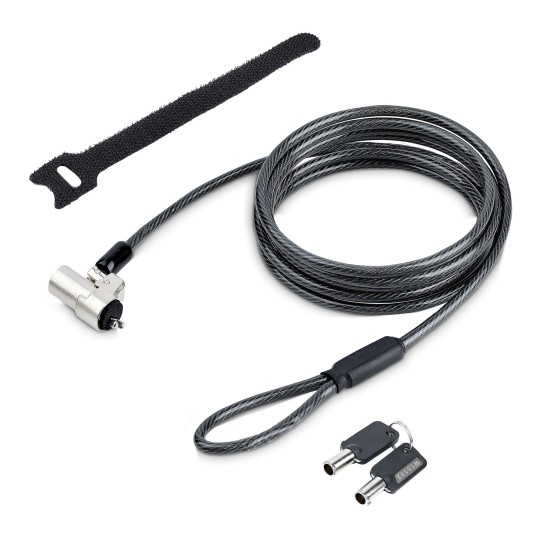 StarTech.com Câble Antivol PC Compatible avec Noble Wedge®, Verrou à Clé - Câble de sécurité - argent, noir - 2 m