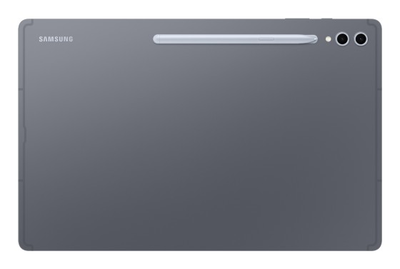 Samsung Galaxy Tab S10 Ultra (14,6", Wi-Fi)