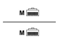 Belkin - Cordon de raccordement - RJ-45 (M) pour RJ-45 (M) - 5 m - CAT 6 - sans crochet