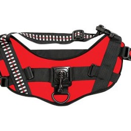 ACTIVEON 360 Dog Vest