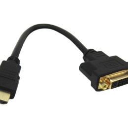 DLH - Câble adaptateur - HDMI mâle pour DVI-D femelle - 20 cm - noir